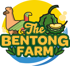 The Bentong Farm
